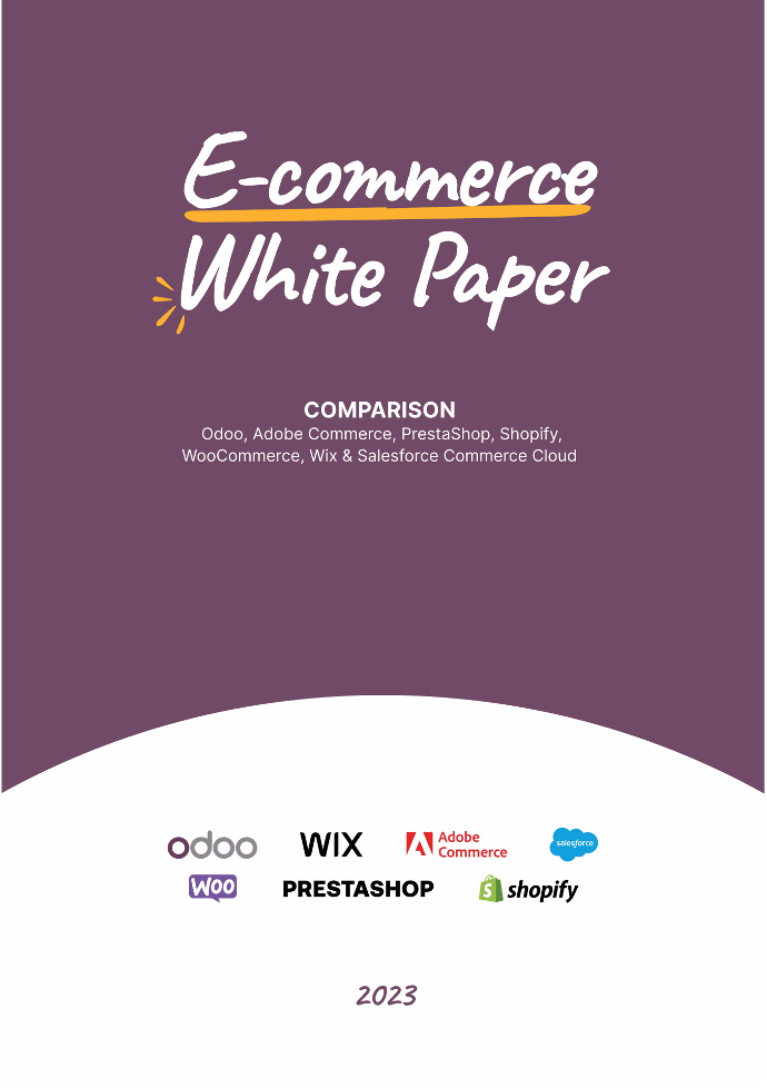 e-Commerce Vergleich White Paper